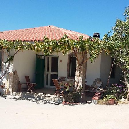 Punteri Hotel Loculi Exterior photo
