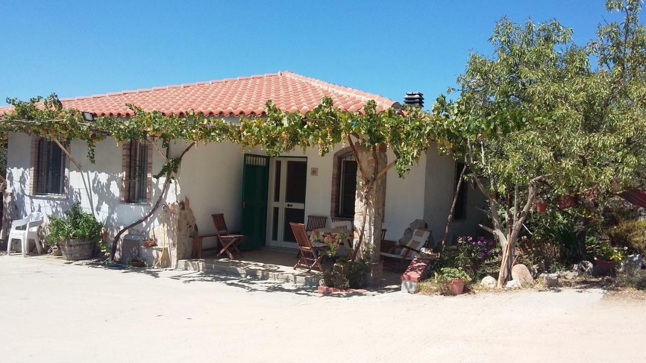 Punteri Hotel Loculi Exterior photo
